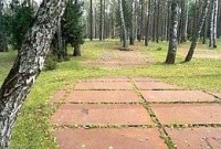 Katyn Forest