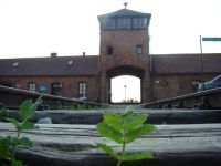 Group Tours